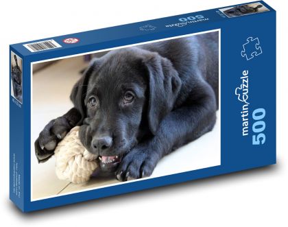 Szczeniak labrador z zabawką - Puzzle 500 elementów, rozmiar 46x30 cm