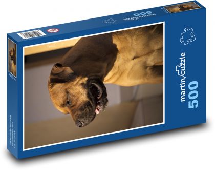 Portrét psa v interiéru - puzzle 500 dílků