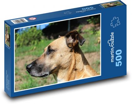 Pes na slnku - Puzzle 500 dielikov, rozmer 46x30 cm 