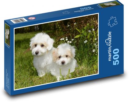 Pes - šteniatka Coton de Tulear - Puzzle 500 dielikov, rozmer 46x30 cm 