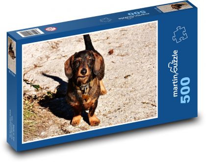 Słodki jamnik na spacerze - Puzzle 500 elementów, rozmiar 46x30 cm