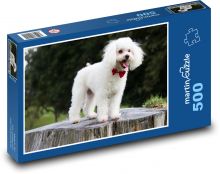 Roztomilý biely pudel s mašľou Puzzle 500 dielikov - 46 x 30 cm