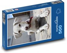 Štěně labradora na terase Puzzle 500 dílků - 46 x 30 cm
