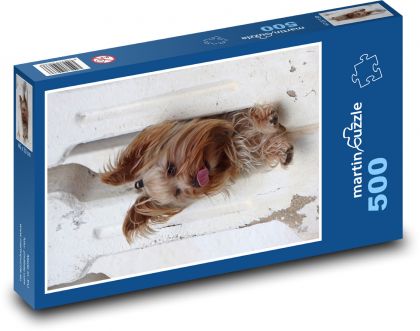 Yorkshire Terrier with tongue sticking out - dog - Puzzle of 500 pieces, size 46x30 cm 