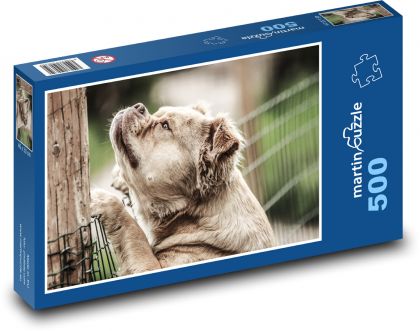 Premyslený pes pri plote - Puzzle 500 dielikov, rozmer 46x30 cm 