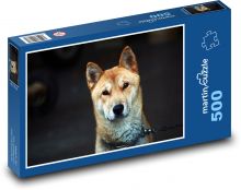 Chovateľ psov, Shiba Inu Puzzle 500 dielikov - 46 x 30 cm