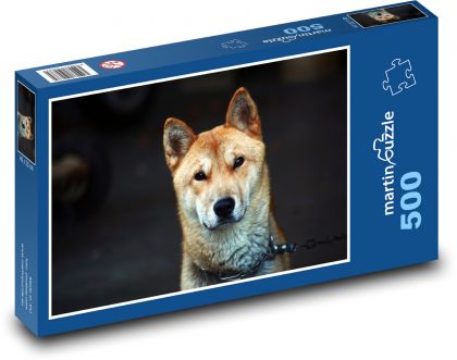 Chovateľ psov, Shiba Inu - Puzzle 500 dielikov, rozmer 46x30 cm 