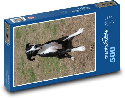 Hundefreund bereit zu gehen - Puzzle - 500 Teile