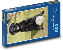 Pies Puzzle 500 elementów - 46x30 cm