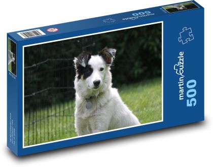 Loyale Augen des Hundes - Puzzle - 500 Teile