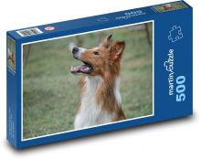 Kólia pripravená skočiť Puzzle 500 dielikov - 46 x 30 cm