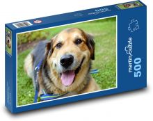 Szczęśliwy pies na spacerze Puzzle 500 elementów - 46x30 cm