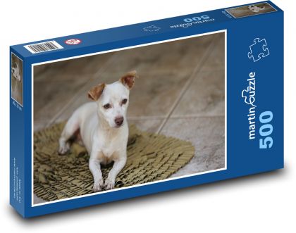 Small white dog with brown ears - Puzzle of 500 pieces, size 46x30 cm 