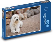 Biely chlpatý pes na dvore Puzzle 500 dielikov - 46 x 30 cm 