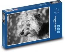 Psí portrét ve větru Puzzle 500 dílků - 46 x 30 cm