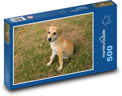 Malý psík v tráve - Puzzle 500 dielikov, rozmer 46x30 cm 