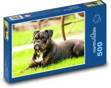 Pes, strážca záhrady Puzzle 500 dielikov - 46 x 30 cm