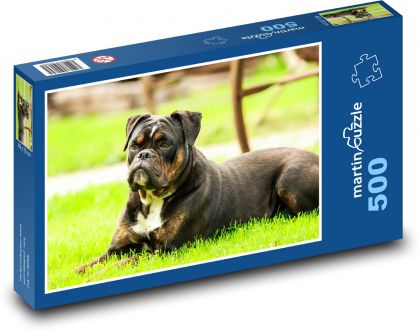 Pes boxer ležící na trávě - Puzzle 500 dílků, rozměr 46x30 cm