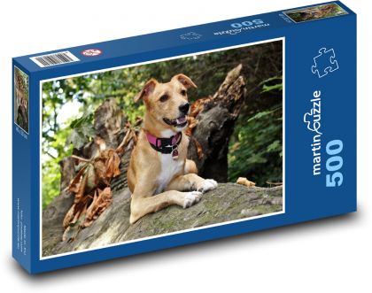 Dobrodruh so psom v lese - Puzzle 500 dielikov, rozmer 46x30 cm 