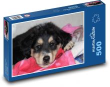 Spiace šteňa v ružovej deke Puzzle 500 dielikov - 46 x 30 cm 