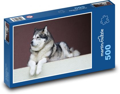 Pes - Aljašský malamut - Puzzle 500 dílků, rozměr 46x30 cm