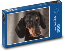 Pes - krátkosrstý jazvečík Puzzle 500 dielikov - 46 x 30 cm 