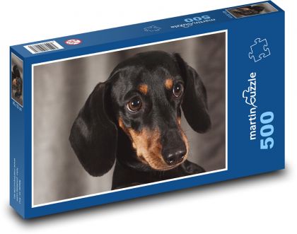 Pes - krátkosrstý jazvečík - Puzzle 500 dielikov, rozmer 46x30 cm 