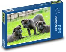 Tři štěňata a jedno velké dobrodružství Puzzle 500 - 46x30 cm
