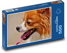 Věrný psí přítel, papillon  Puzzle 500 dílků - 46 x 30 cm