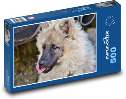 Vlčí pohľad psa - Puzzle 500 dielikov, rozmer 46x30 cm 
