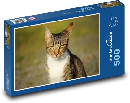 Kočka s pronikavým pohledem - puzzle 500 dílků