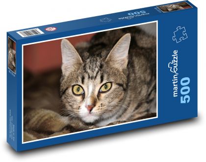 Detailný portrét mačky - Puzzle 500 dielikov, rozmer 46x30 cm 