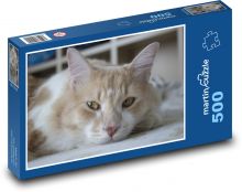 Odpočívající kočka Puzzle 500 - 46x30 cm