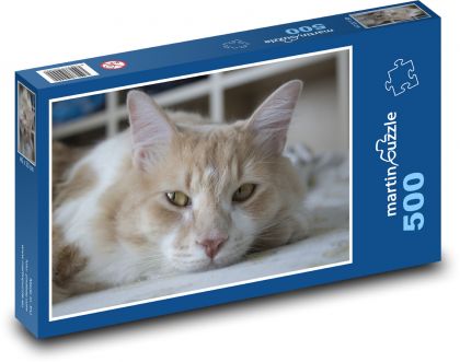 Odpočívající kočka - puzzle 500 dílků
