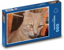 Pronikavý kočičí pohled Puzzle 500 dílků - 46 x 30 cm