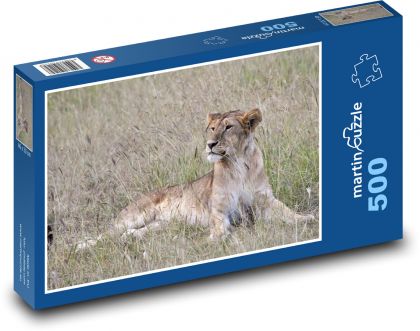 Rest of the lioness in the savannah - Puzzle of 500 pieces, size 46x30 cm 