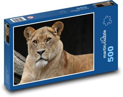 Ostražitá lvice v přírodě - puzzle 500 dílků