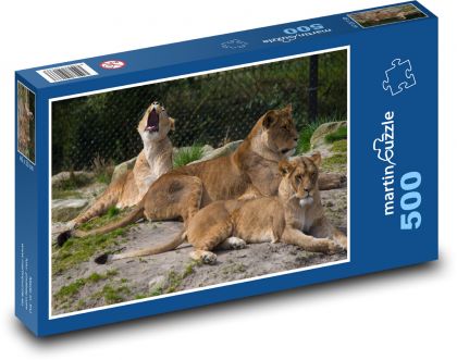Savannah lioness at rest - Puzzle of 500 pieces, size 46x30 cm 