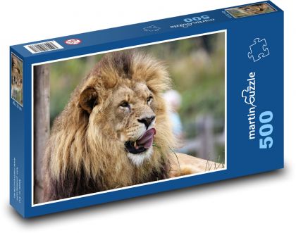 Lew - Puzzle 500 elementów, rozmiar 46x30 cm