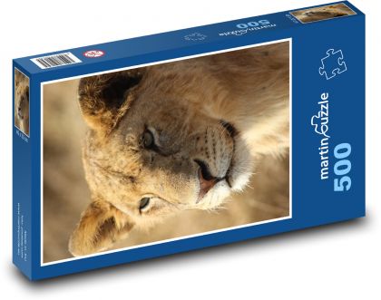 Lion - Puzzle of 500 pieces, size 46x30 cm 