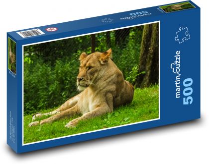 Africká lvice v zelené krajině - puzzle 500 dílků