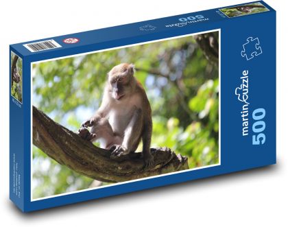 Opice - Puzzle 500 dielikov, rozmer 46x30 cm 