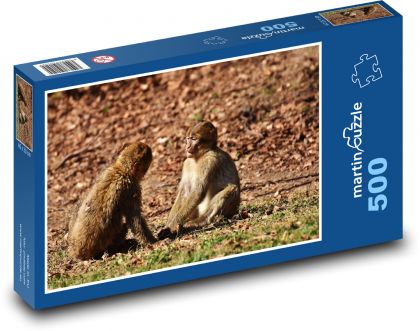 Dwie małpy w naturze - Puzzle 500 elementów, rozmiar 46x30 cm