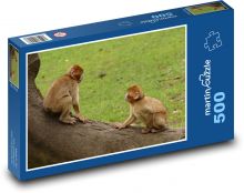 Zabawne małpy na pniu drzewa Puzzle 500 elementów - 46x30 cm