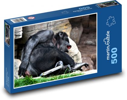 Odpočívající opice - puzzle 500 dílků