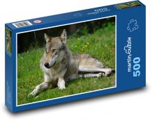 Vlk ležící v trávě Puzzle 500 - 46x30 cm