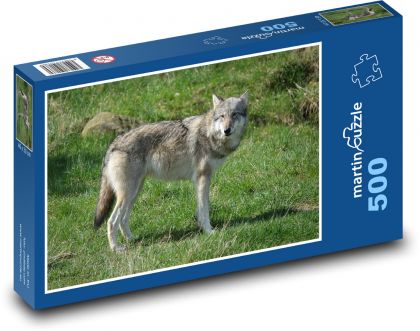 Porträt eines Wolfes auf einer Lichtung - Puzzle - 500 Teile