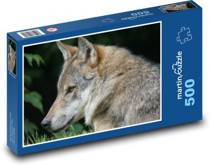 Wolf - Puzzle of 500 pieces, size 46x30 cm 
