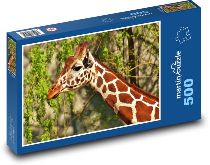 Langhalsgiraffe - Puzzle - 500 Teile
