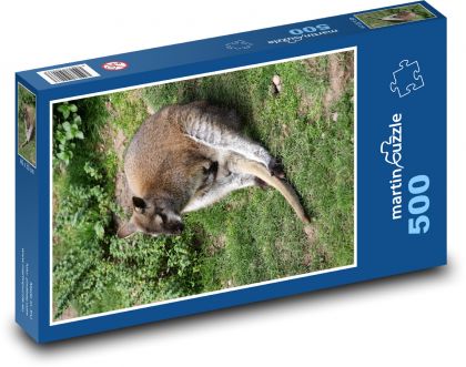 Klokan - Wallaby - Puzzle 500 dílků, rozměr 46x30 cm